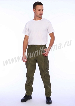 Брюки мужские арт. ОР-07-07-РПФ