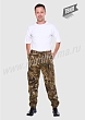 Расцветка 1